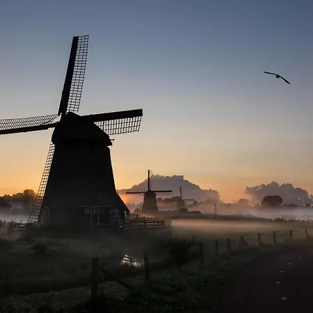 Hart Van * Alkmaar